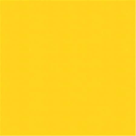 A E S Industries 203 Regulator-Air Brass 0.25 in.Brass Regulator AES-203